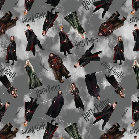 Harry Potter Characters in Gray - Pre-order Will Arrive by Late Nov. 2025