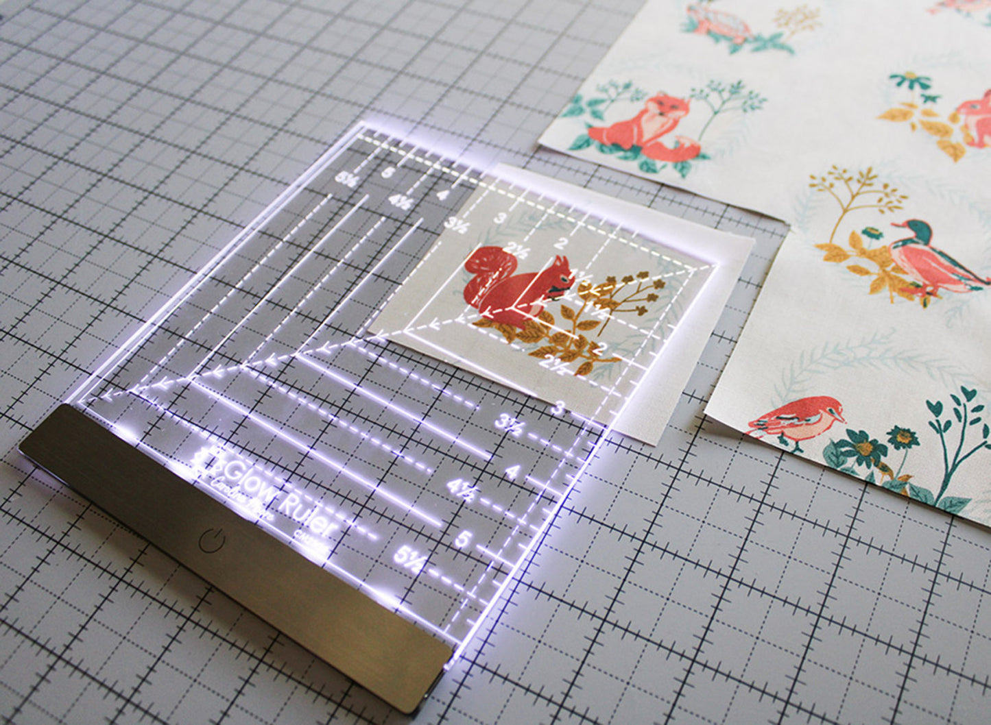 Glow Ruler by Carolina Moore