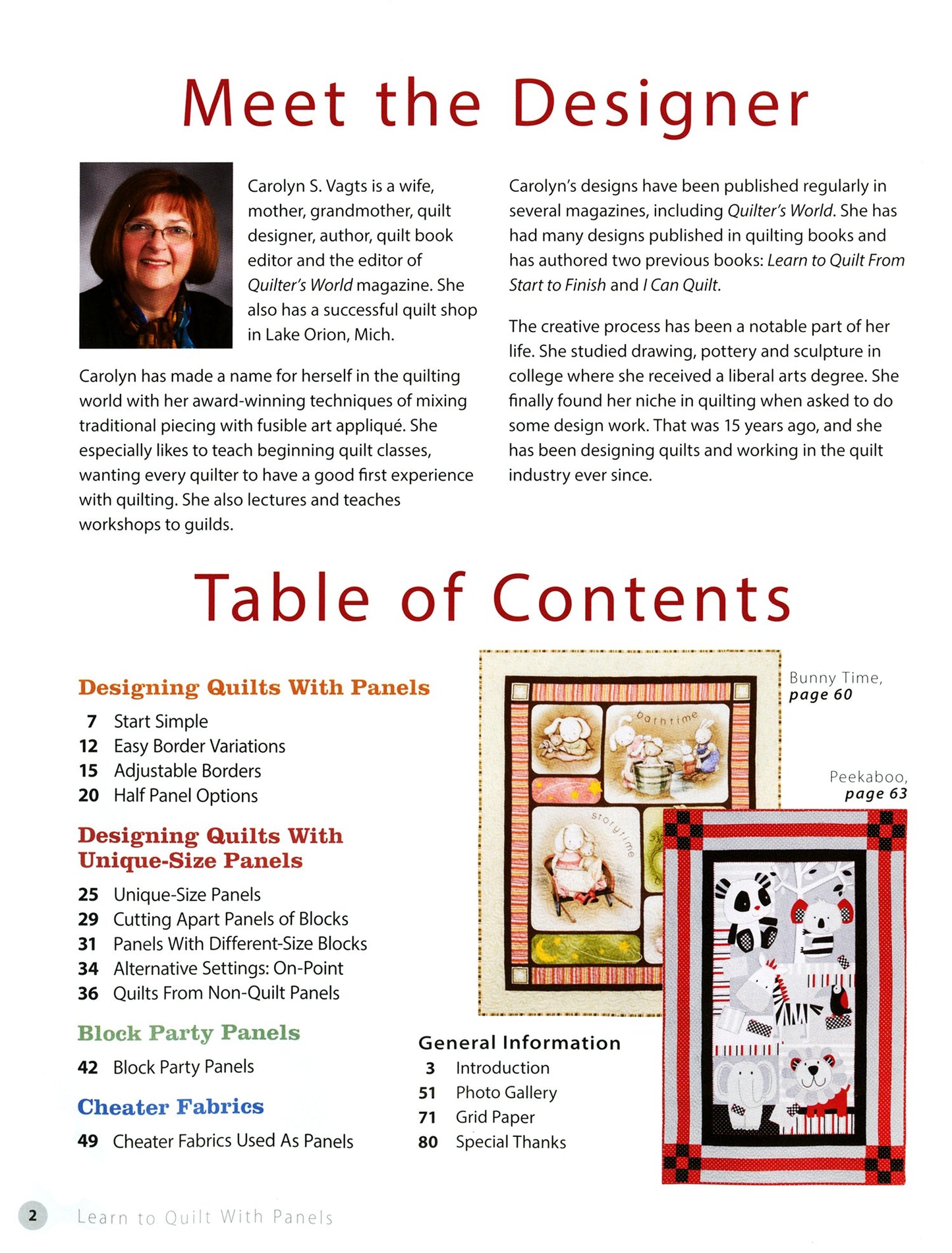 Learn To Quilt With Panels: Turn Any Fabric Panel Into A Unique Quilt