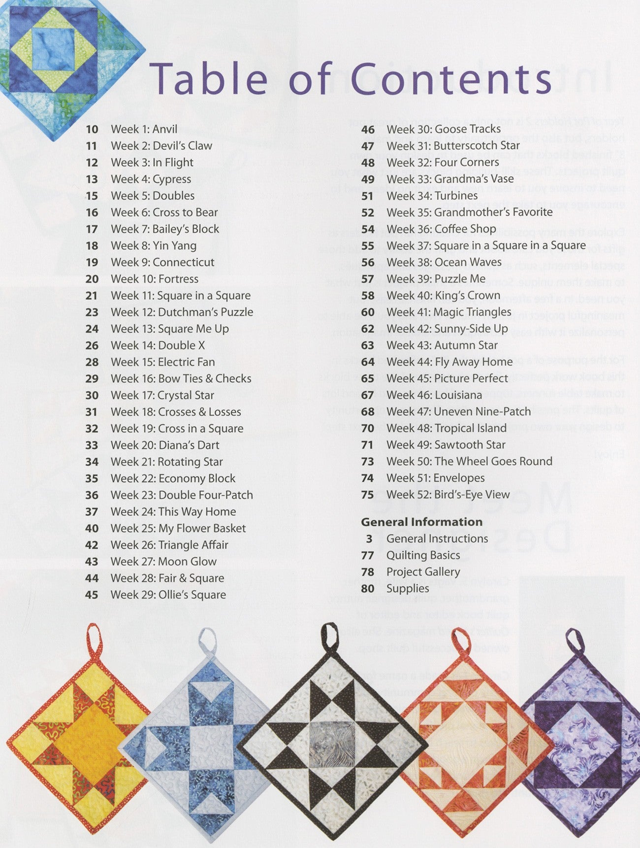 Year of Pot Holders 2